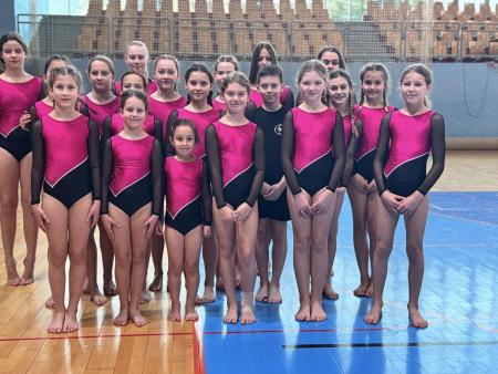 Tudi na 2. tekmi za pokal Slovenije gimnastičarke ŠD Partizan RAvne dosegle odlične rezultate (12)
